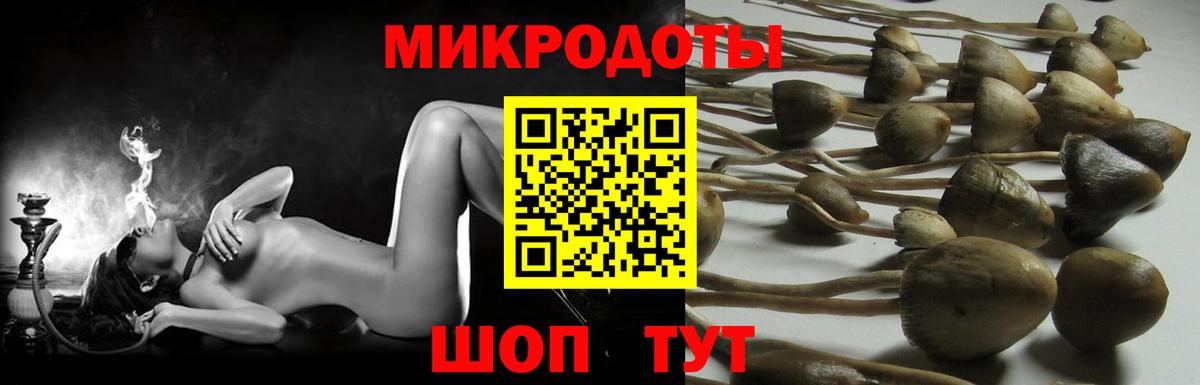 Галлюциногенные грибы мицелий Калач-на-Дону